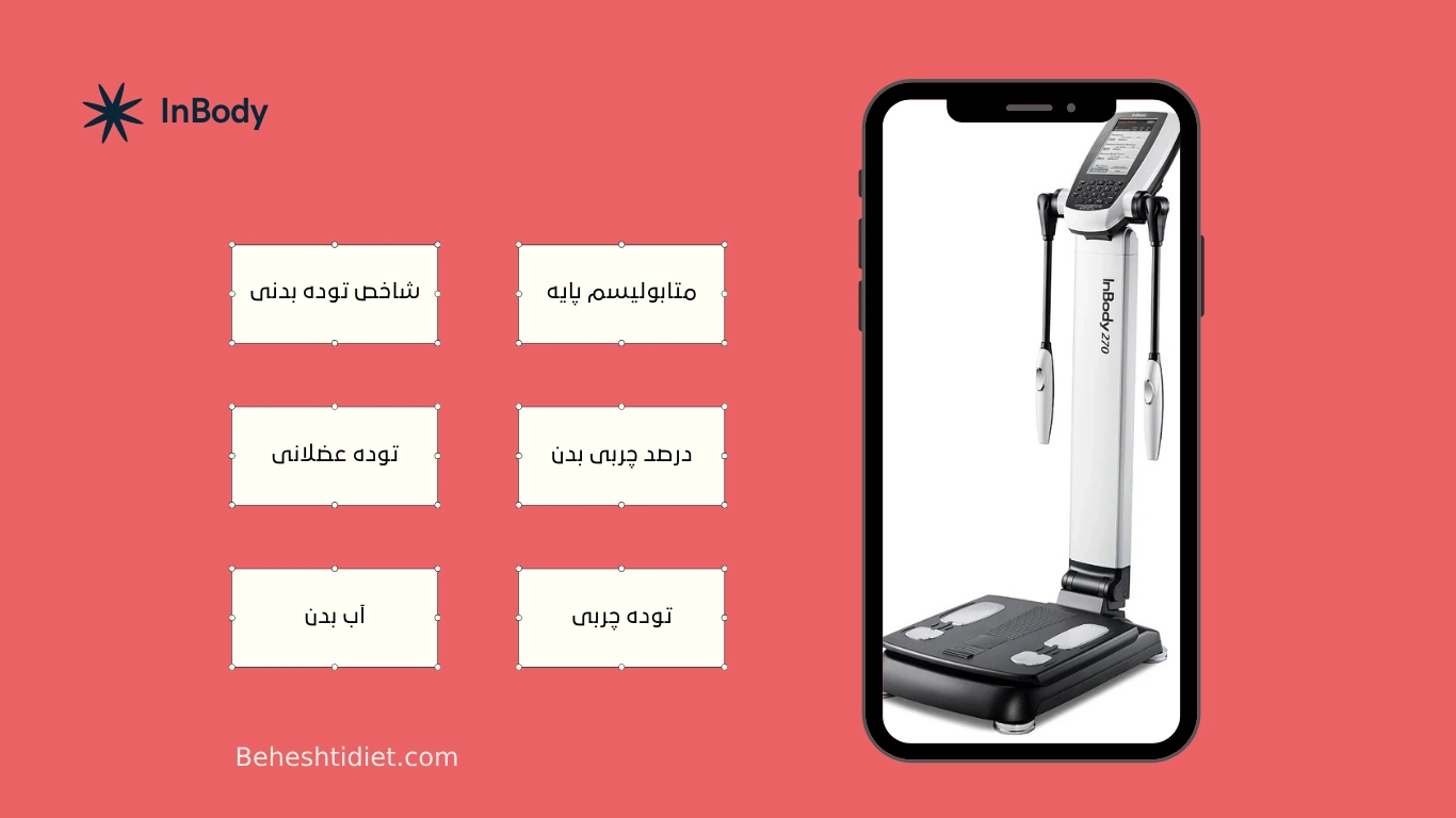 آنالیز بدن