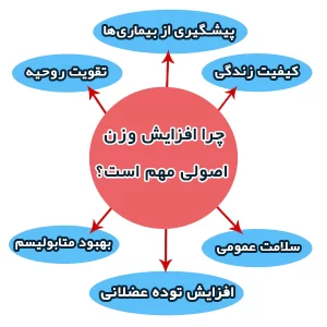 رژیم چاقی