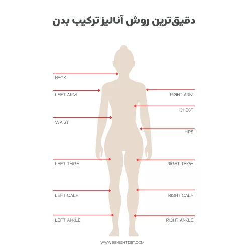 Minimalist Body Measurement Chart Planner